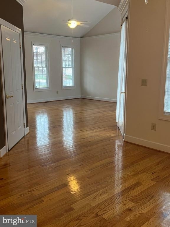 1040 Sun Poppy Court - Photo 35