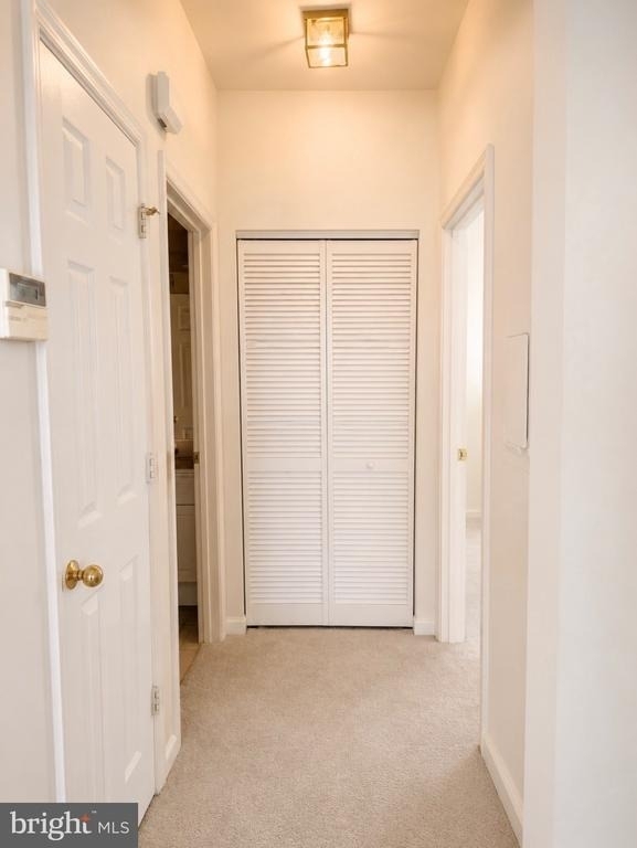 45091 Brae Terrace - Photo 11