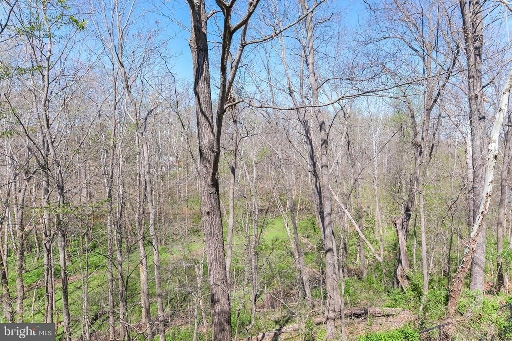 20717 Waterfall Branch Terrace - Photo 42