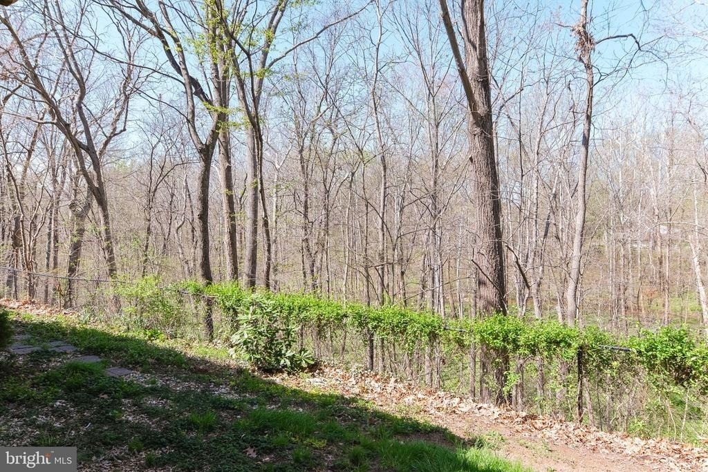 20717 Waterfall Branch Terrace - Photo 43
