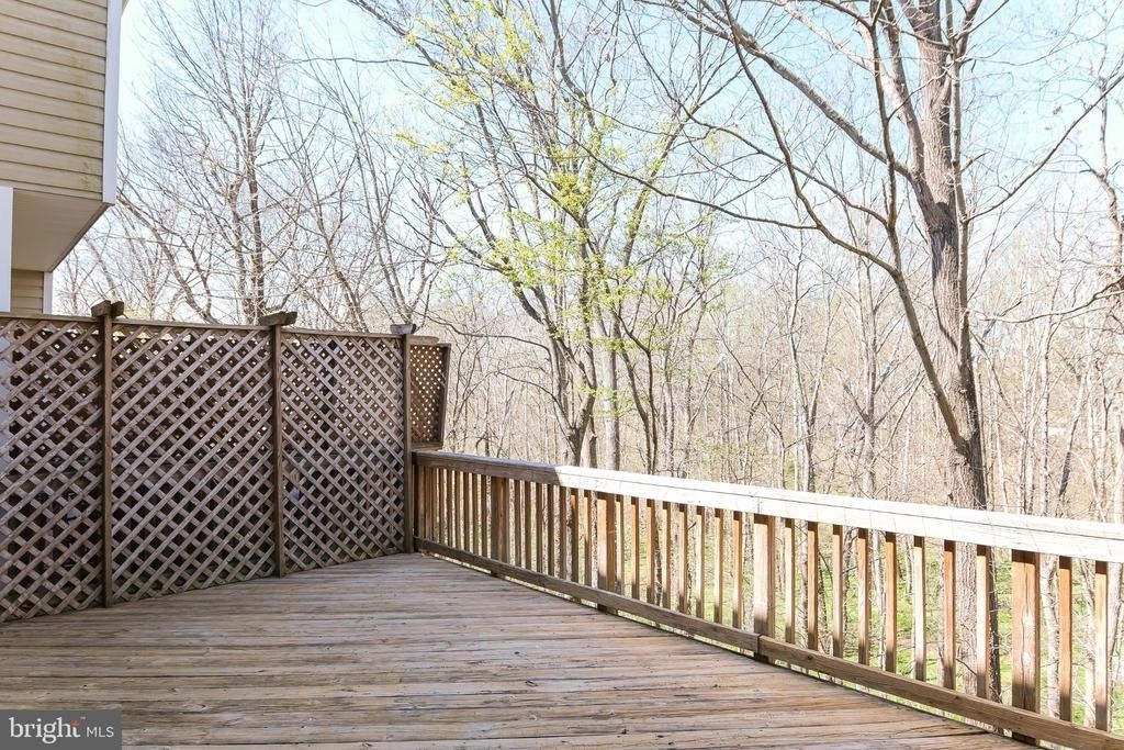 20717 Waterfall Branch Terrace - Photo 15