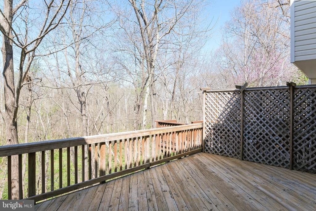 20717 Waterfall Branch Terrace - Photo 14