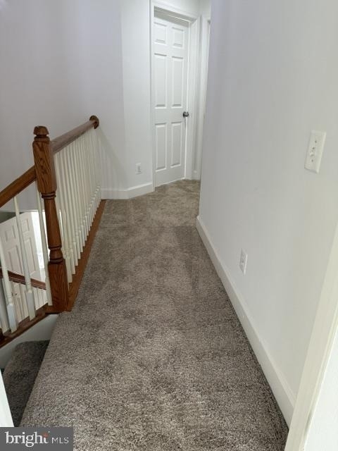 2461 Terra Cotta Circle - Photo 15