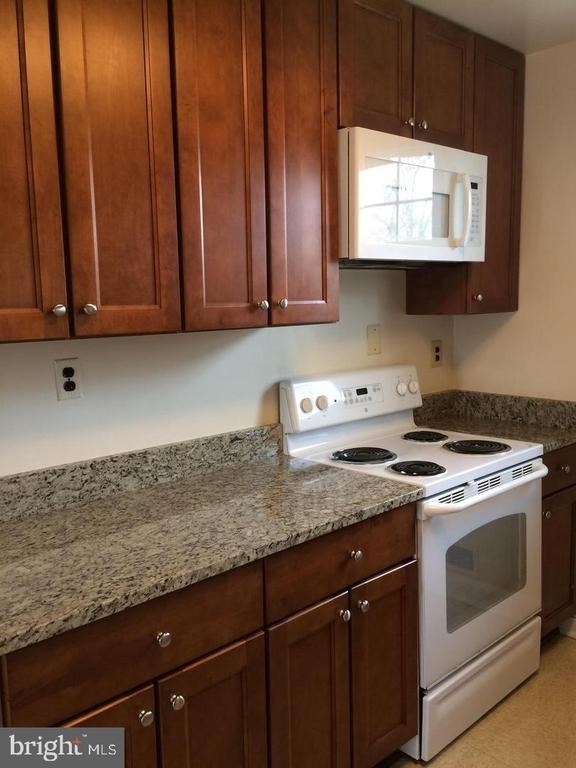 6528 Chesterfield Avenue - Photo 10