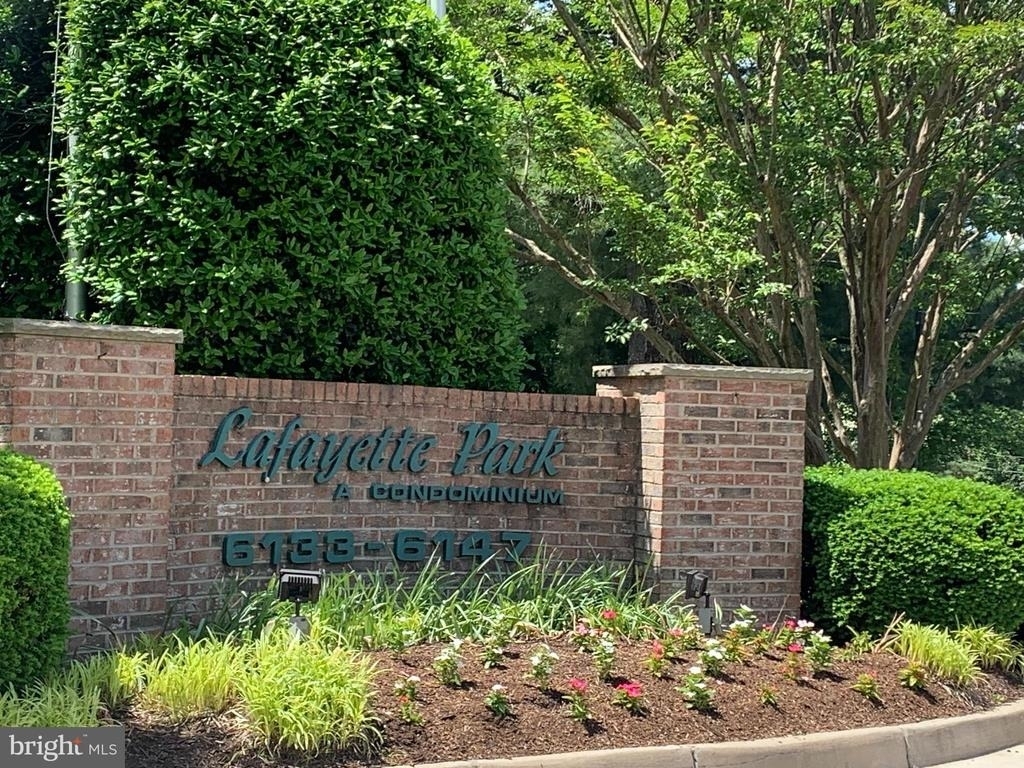 6141 Leesburg Pike - Photo 38