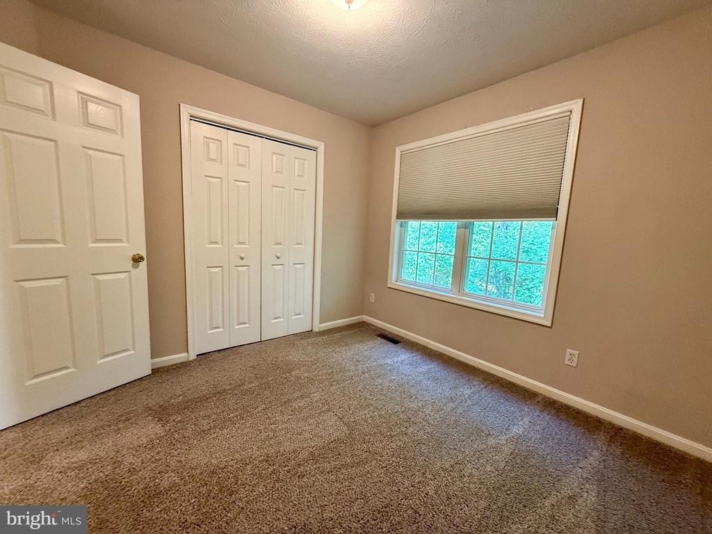 45880 Buck Hewitt Road - Photo 15