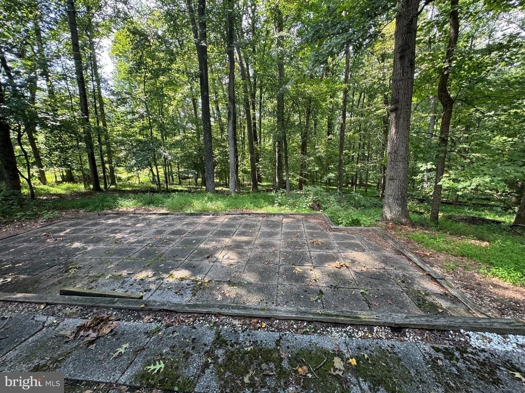 11717 Happy Choice Lane - Photo 11