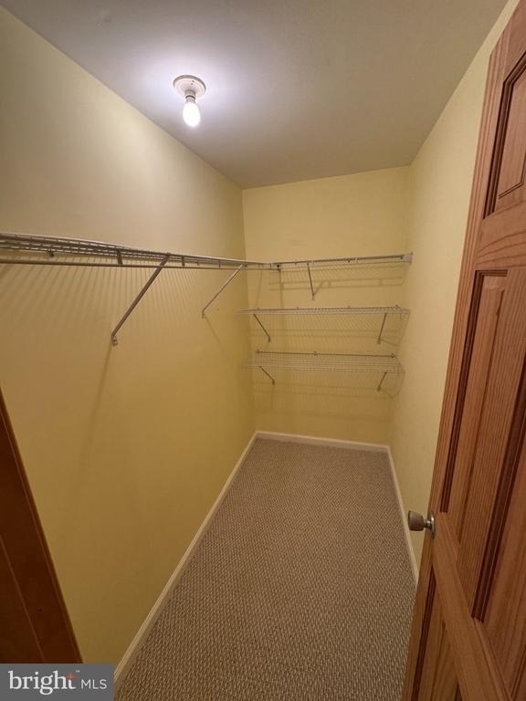 11717 Happy Choice Lane - Photo 19