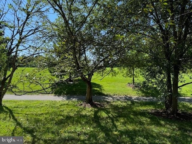 8630 Delcris Drive - Photo 31