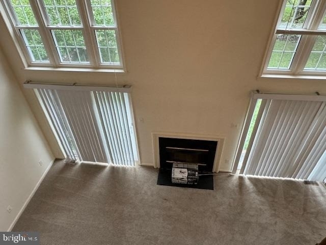 8630 Delcris Drive - Photo 16