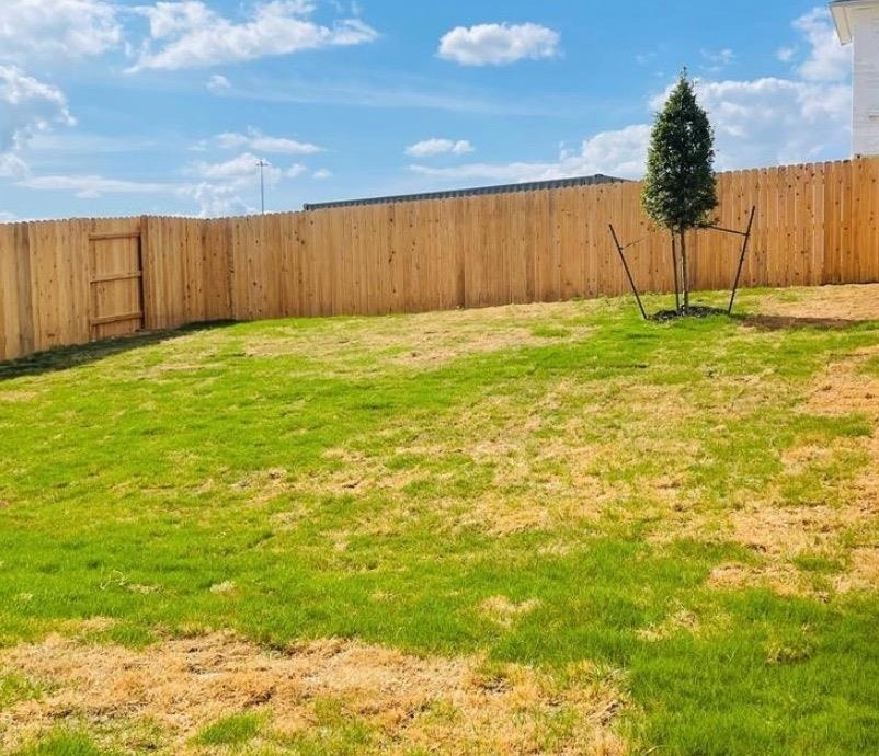10208 Buckskin Horse Way - Photo 10