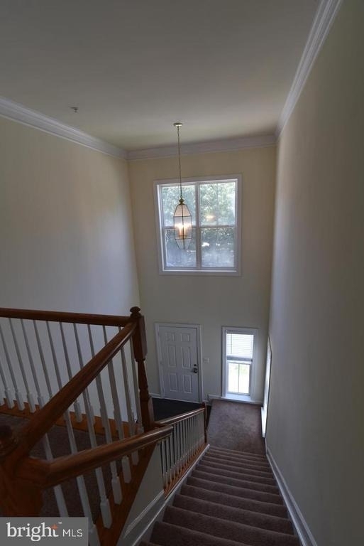 139 Hokeland Drive - Photo 24