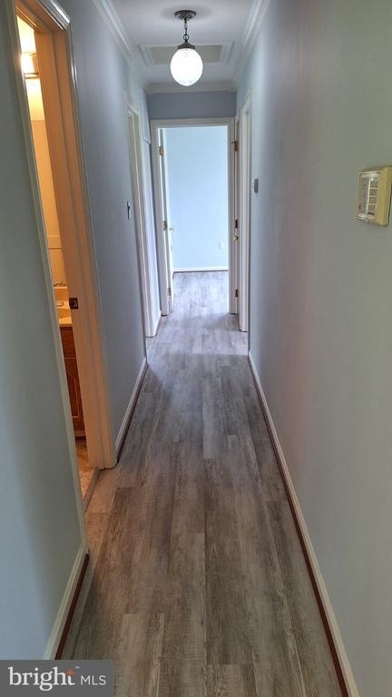 7108 Glen Albin Road - Photo 15