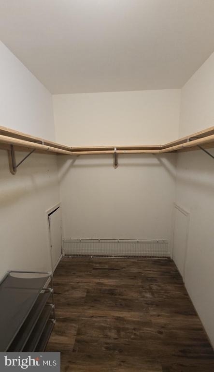 10544 Catalina Place - Photo 13