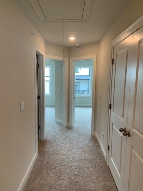 908 Sweetwater Grove - Photo 13