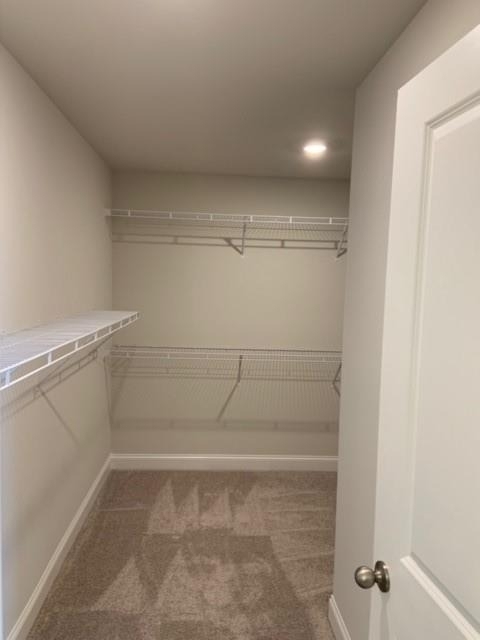908 Sweetwater Grove - Photo 22