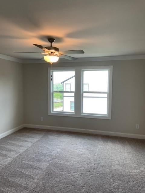 908 Sweetwater Grove - Photo 15