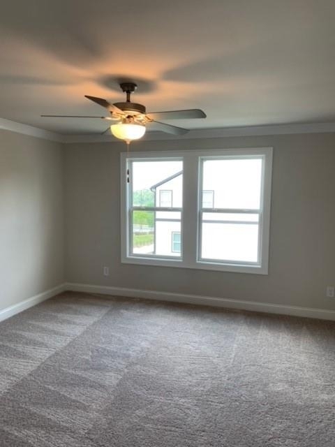 908 Sweetwater Grove - Photo 18
