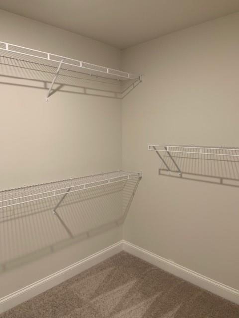 908 Sweetwater Grove - Photo 17