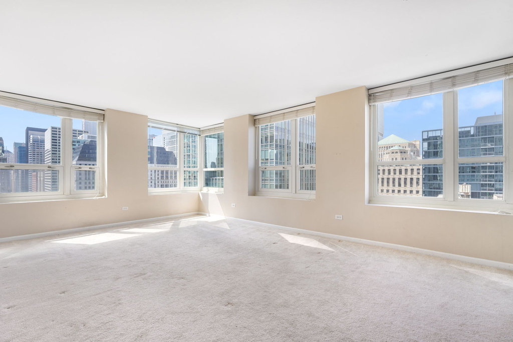 345 N Lasalle Boulevard - Photo 5