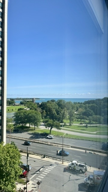 3550 N Lake Shore Drive - Photo 14