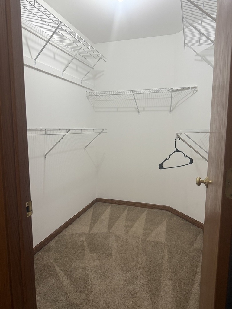 206 Terra Firma Lane - Photo 16