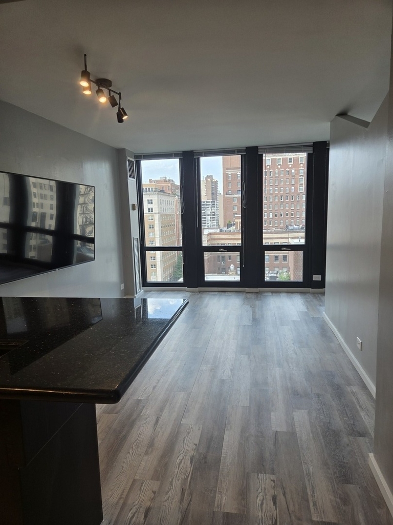 1 E Scott Street - Photo 11