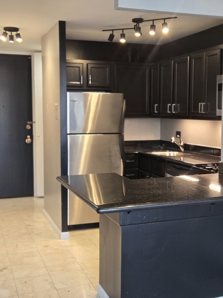 1 E Scott Street - Photo 12