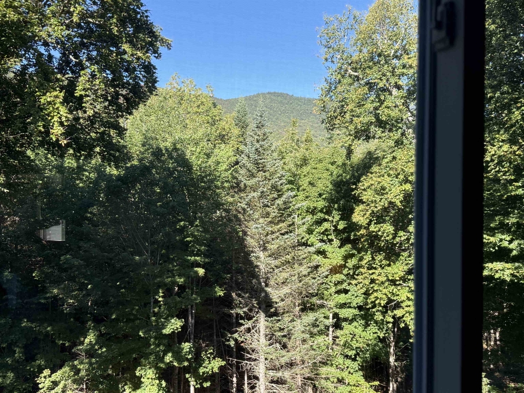 22 Emerson - Photo 6