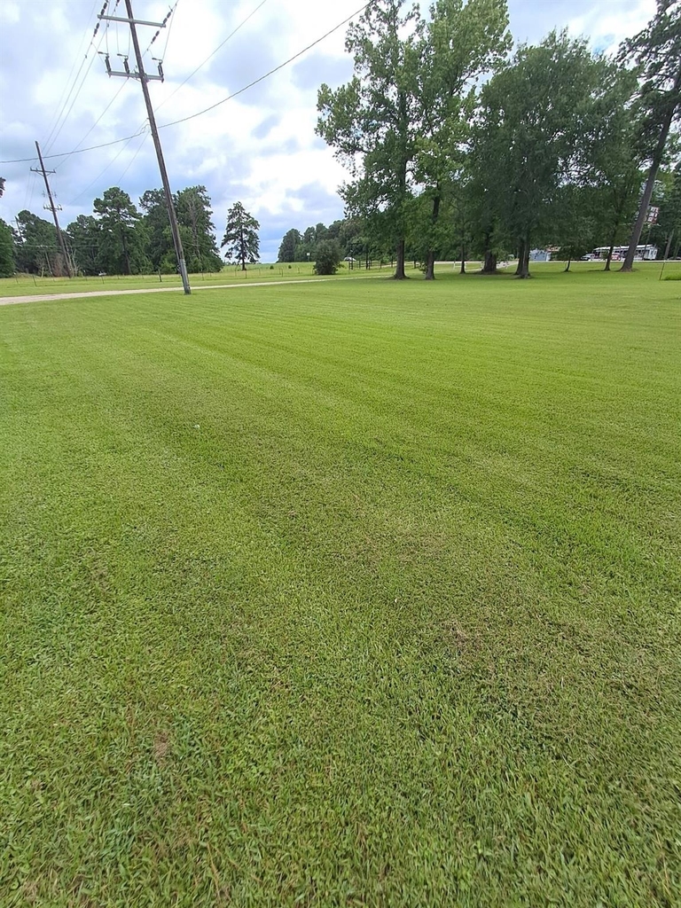 16190 N Us Highway 59 N - Photo 3