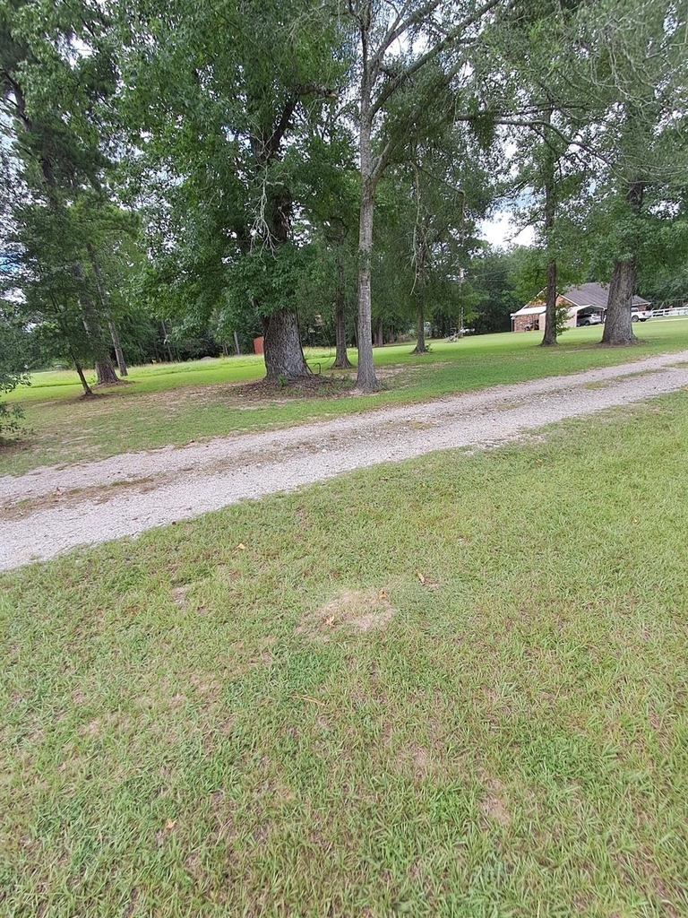 16190 N Us Highway 59 N - Photo 4