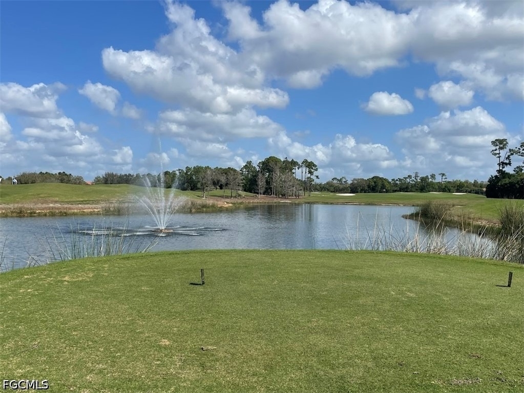 10630 Camarelle Circle - Photo 41