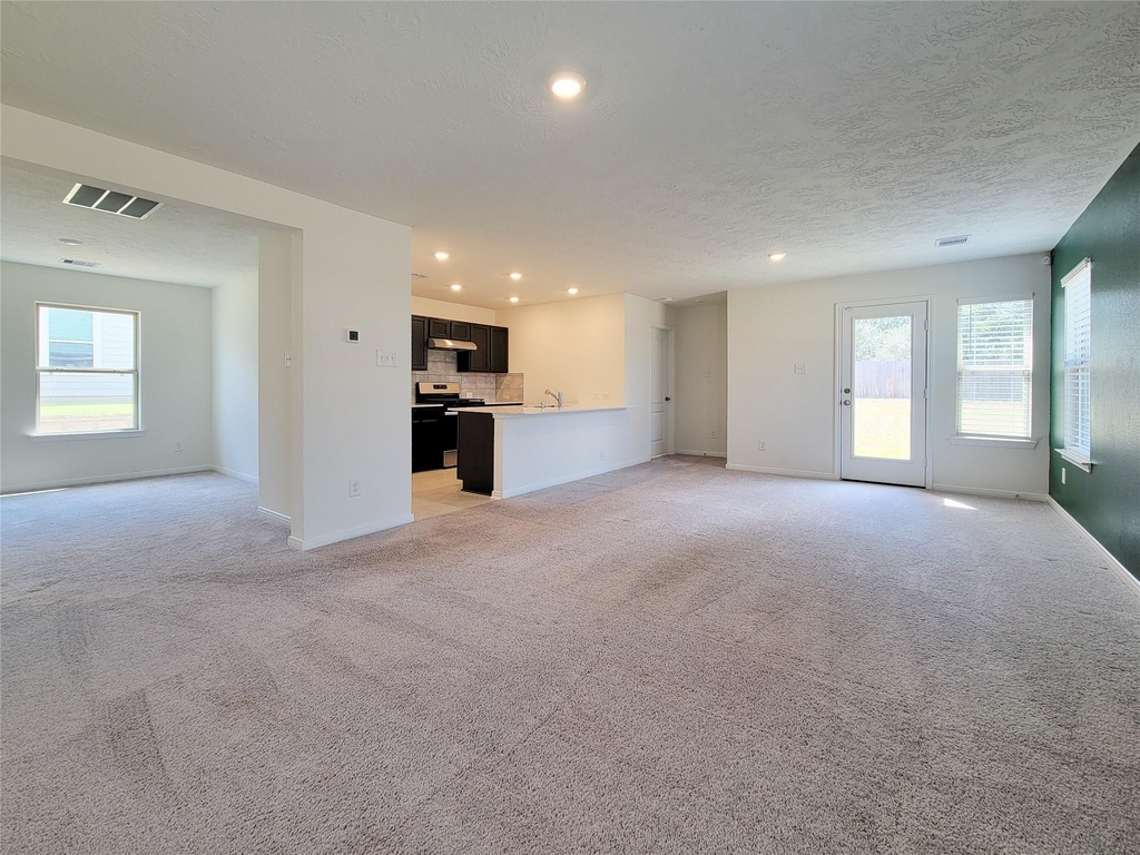 657 Appaloosa Meadow Drive - Photo 6
