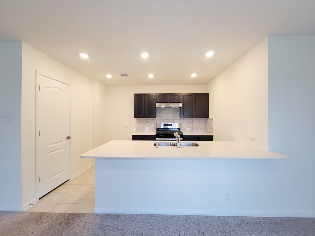 657 Appaloosa Meadow Drive - Photo 12