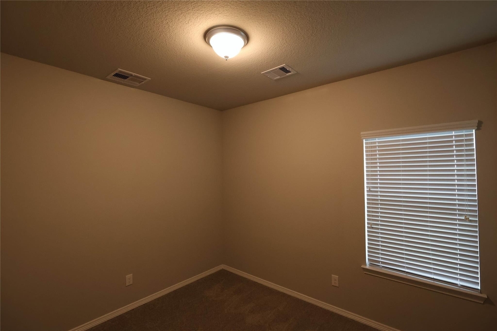 25718 Boxwood Hedge Lane - Photo 10