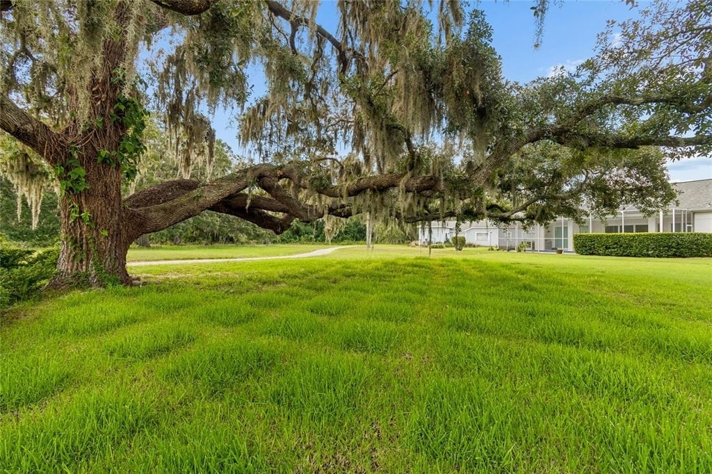 12728 Flamingo Parkway - Photo 59