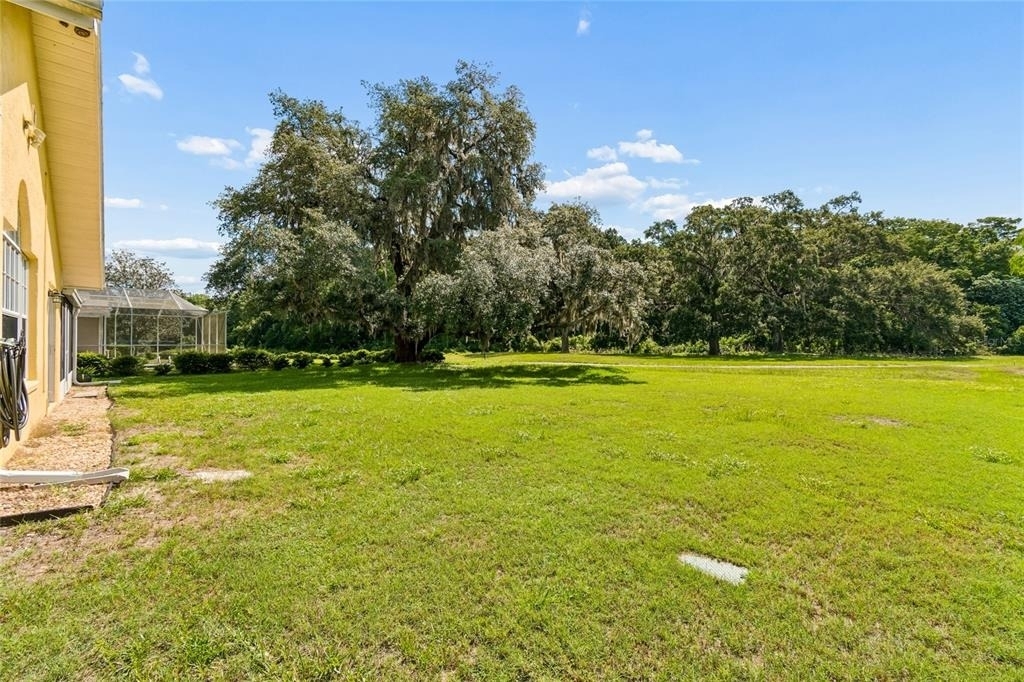 12728 Flamingo Parkway - Photo 65