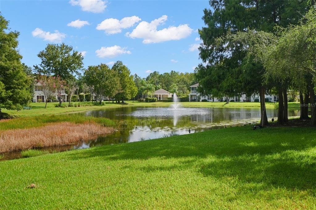 14020 Waterville Circle - Photo 4