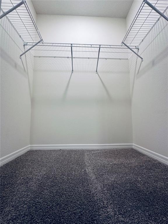1232 Draintree Street - Photo 7