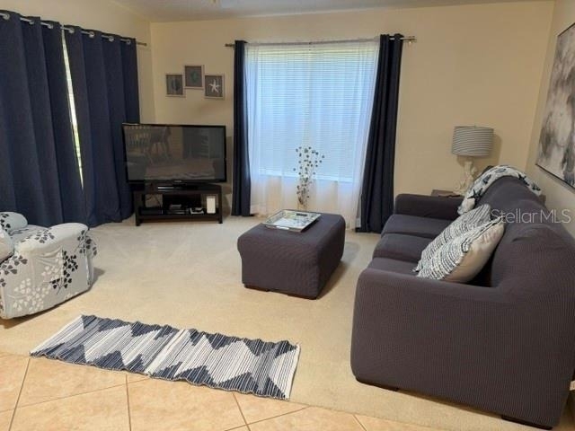 1413 Blueberry Way - Photo 9