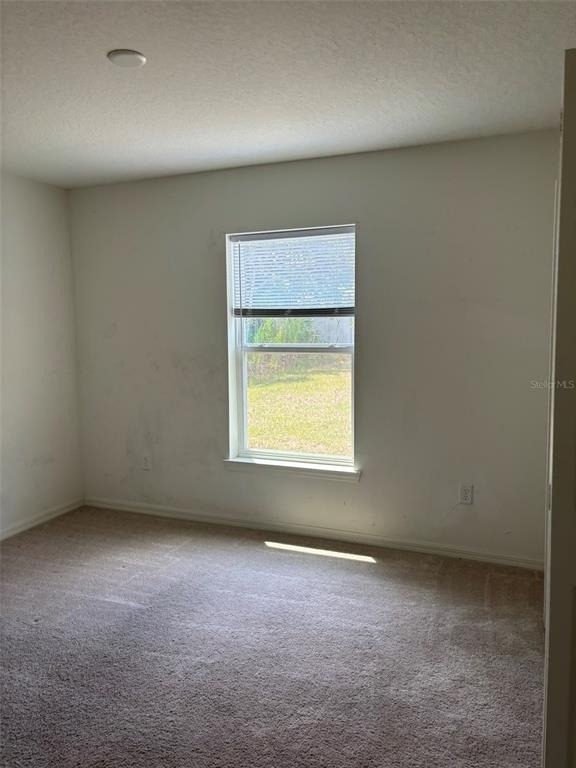15 Lamoyne Lane - Photo 11