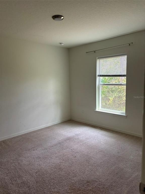 15 Lamoyne Lane - Photo 13