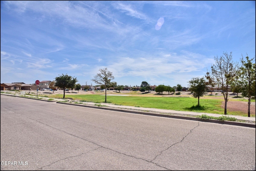 1037 Callisto Court - Photo 47