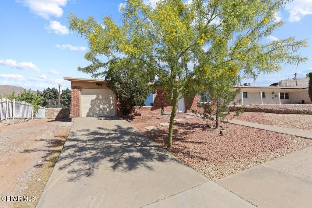 304 Carnival Drive - Photo 23