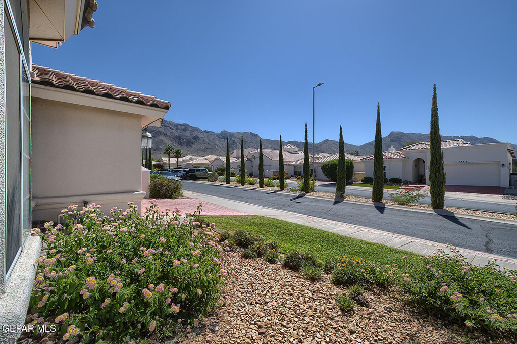 1549 Via Appia Street - Photo 4