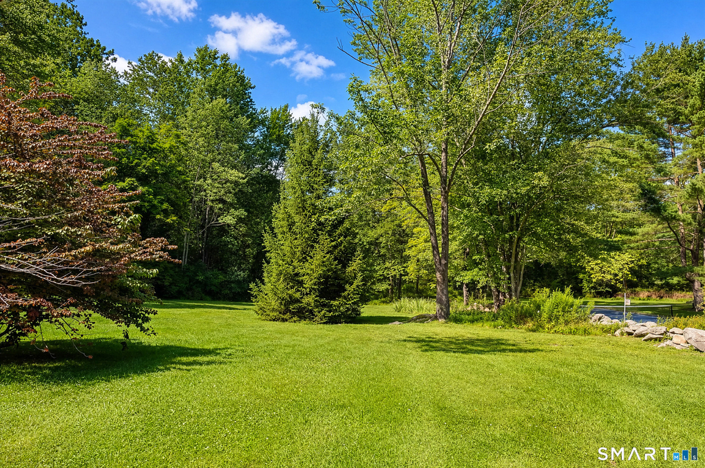 12 Merwin Brook Road - Photo 10