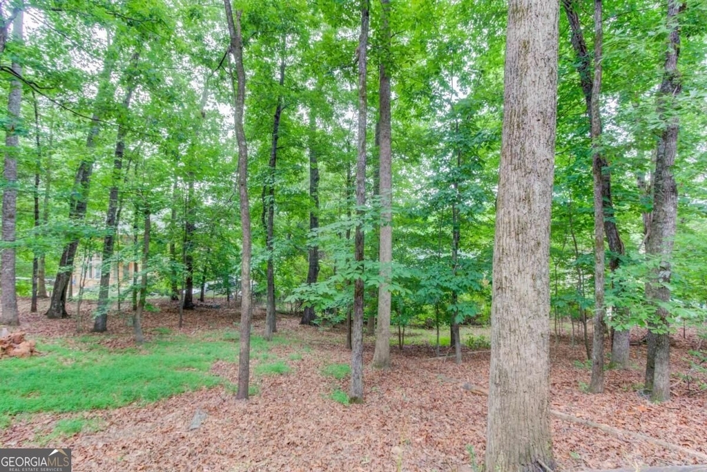 1920 Woods River Lane - Photo 61