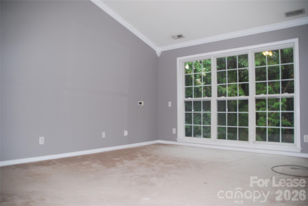 733 Meadow Lake Drive - Photo 8