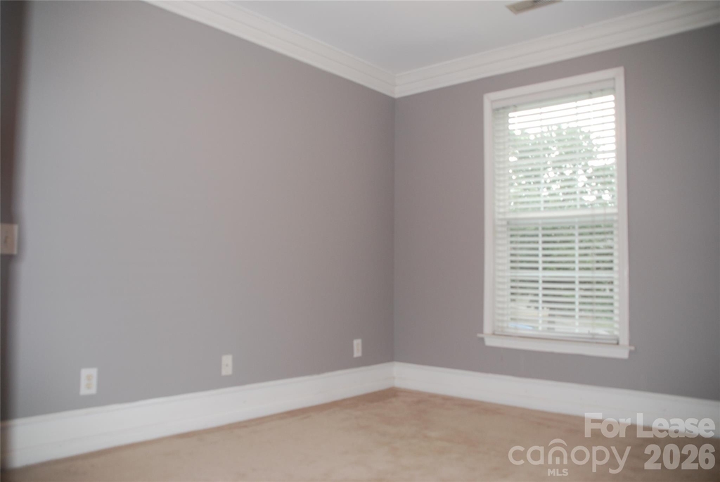 733 Meadow Lake Drive - Photo 6