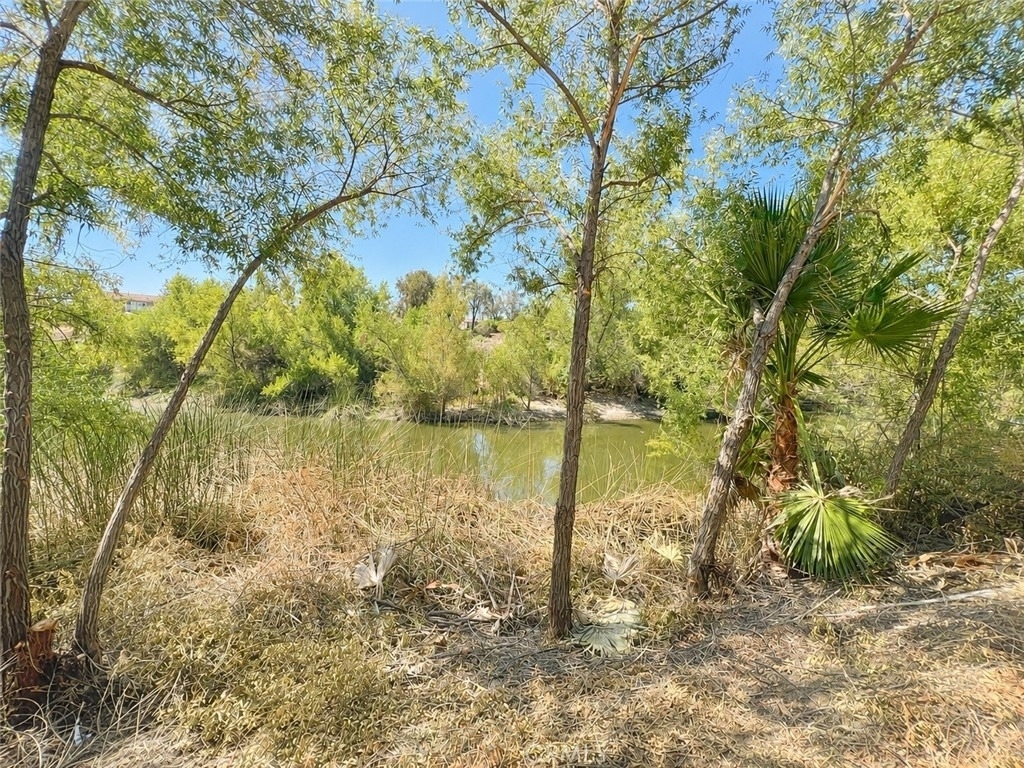 29621 Troon Court - Photo 26